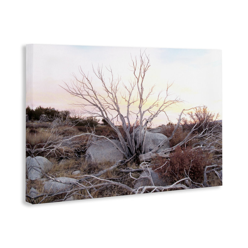 Toile Rocky Foothills Terrain, design par Gemma Bardot, H 20 po x l 30 po