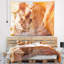 Paysage avec antilope-28505079