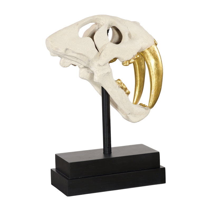 Tooth Tiger Skull, Beige