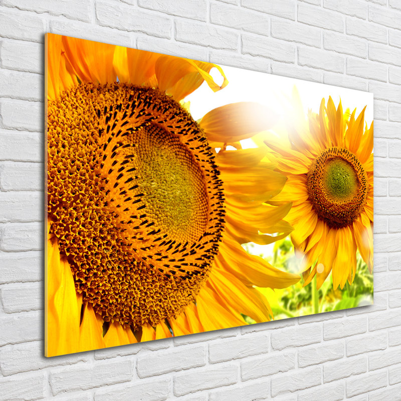 Sunflowers - No Frame Print on Glass