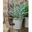 Gertz Animals UV Resistant Stone Garden Statue