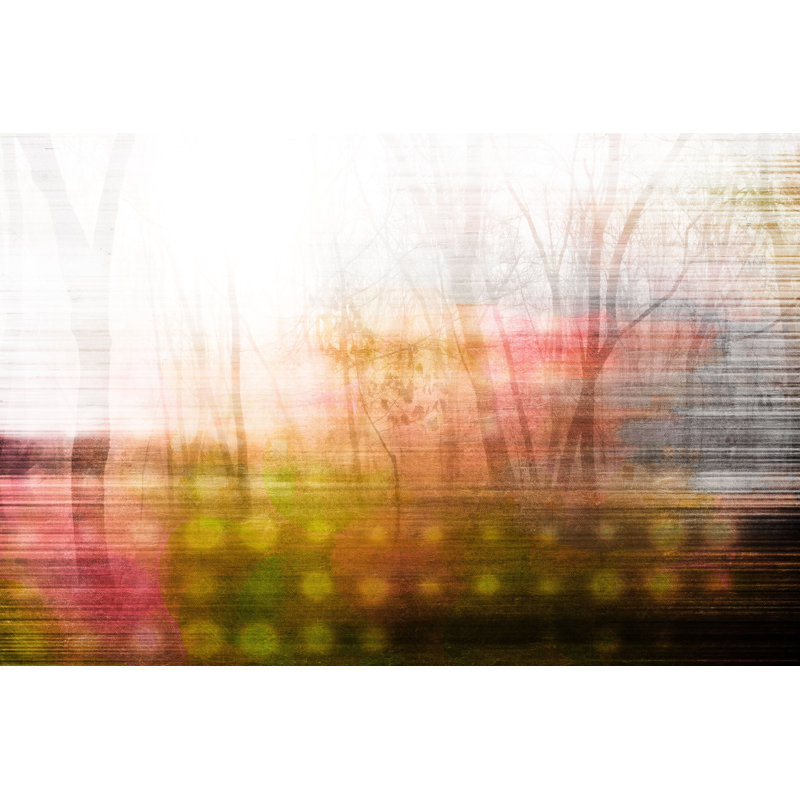 Parvez Taj - Wrapped Canvas Print, 41cm H x 61cm W
