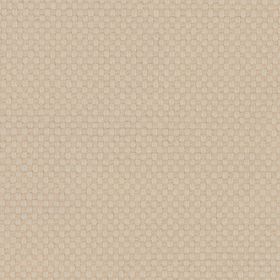 Ishi Beach - Perigold PR Swatch