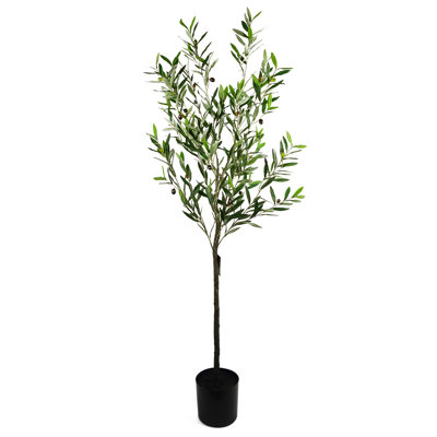 Anlin 170cm Faux Olive Tree in Pot