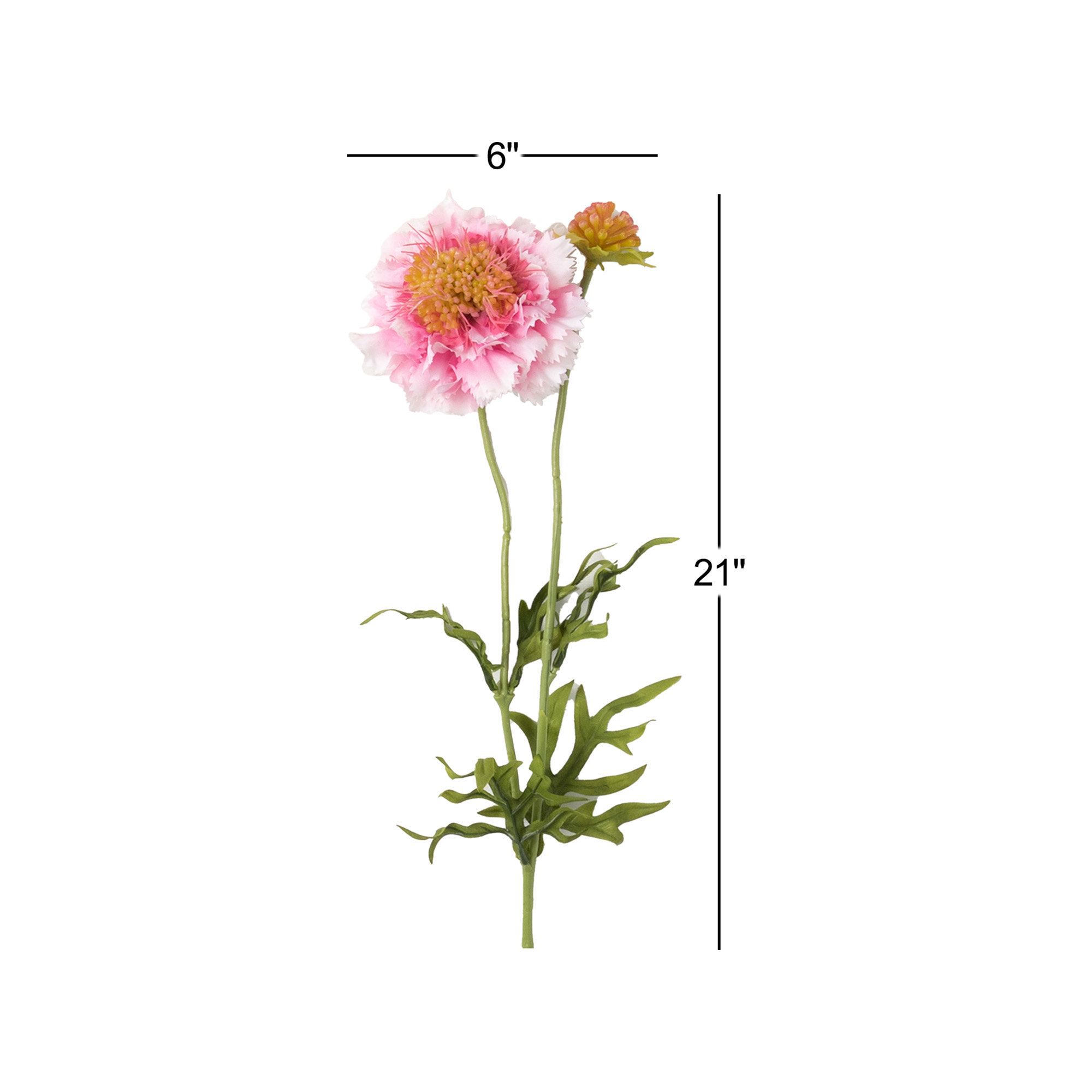 Vibrant Bloom Scabiosa Sprays, Pink