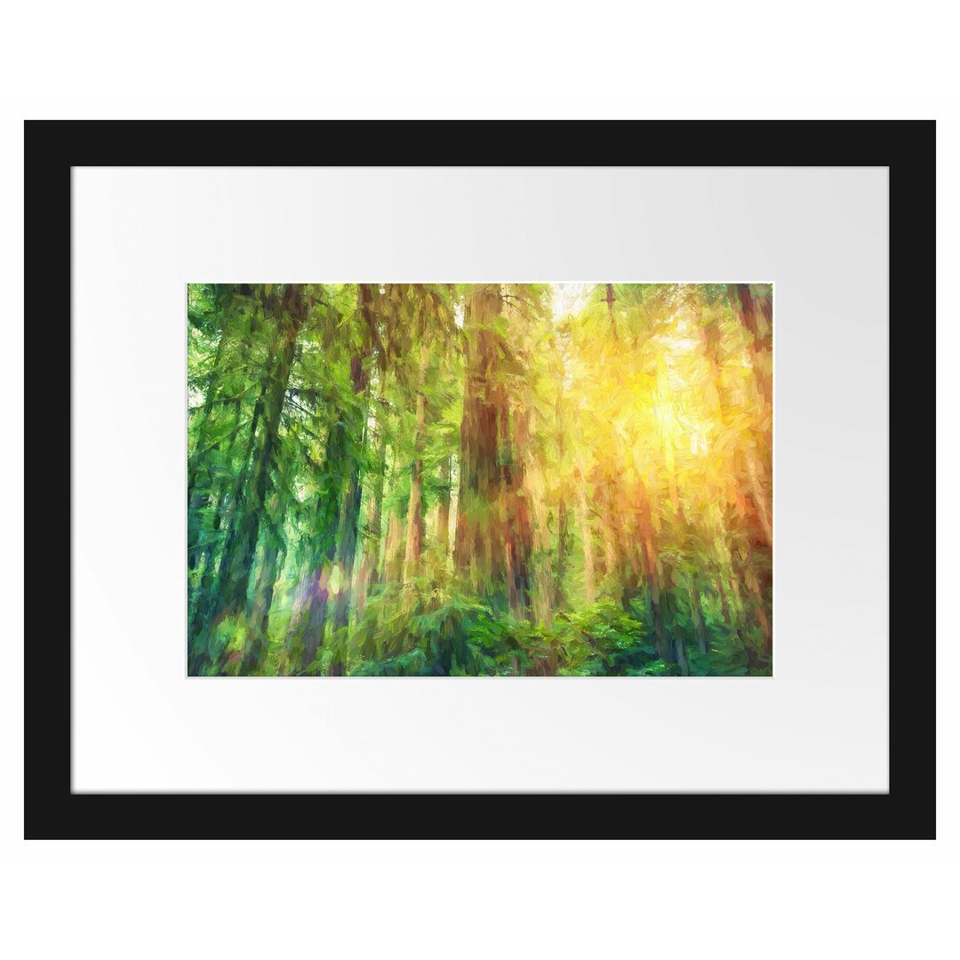 Gerahmtes Papierbild Wald bei Sonnenlicht