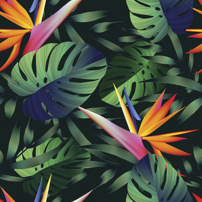 «Tropical Flowers, Jungle Leaves, Bird of Paradise Flower» par Zeffir - impression sur toile tendue