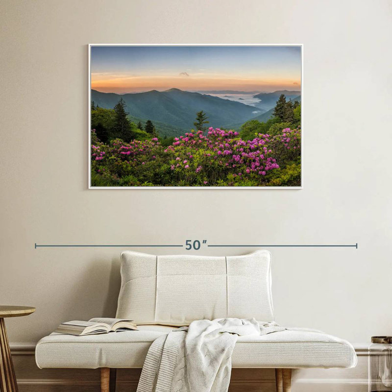 Blue Ridge Mountains View, Cadre flottant blanc, 40 po x 27 po