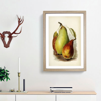 A Vintage Illustration of Pears - Picture Frame Painting Print