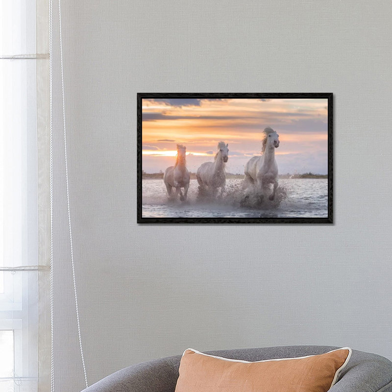 White Angels Of Camargue XXXII by Daniel Kordan - Print on Canvas, Black Framed, 66.04 cm H x 45.72 cm W