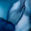 Tony Fey's Beyond The Blue Veil