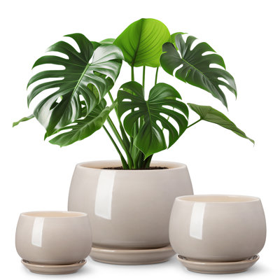 Ceramic Pot Planter