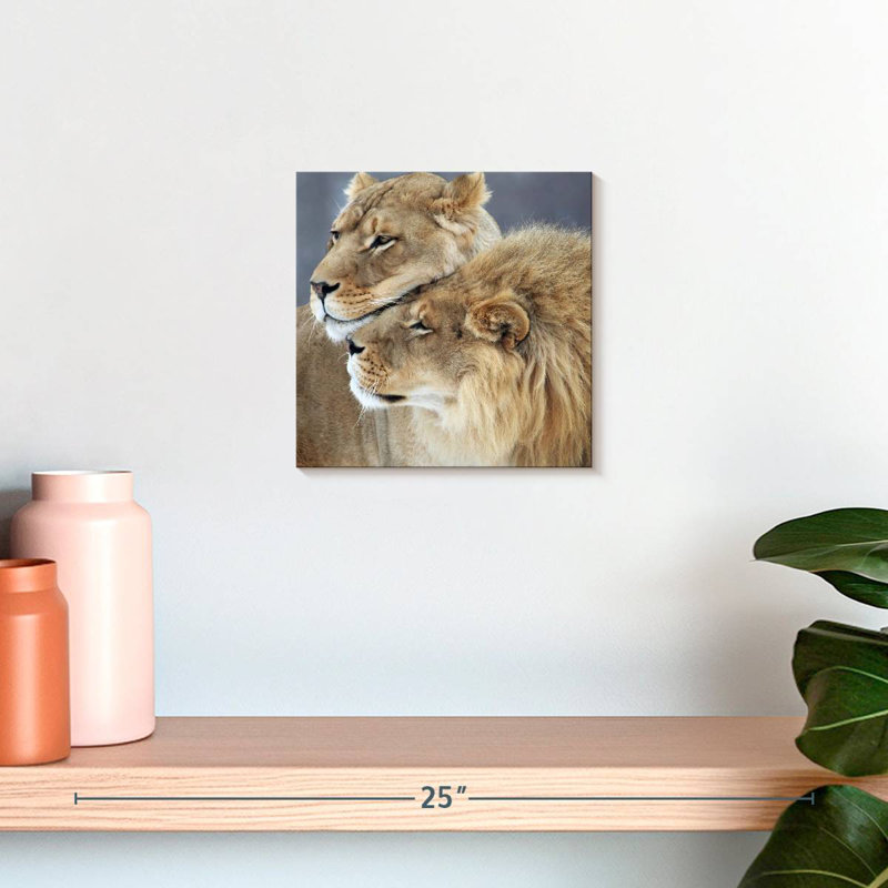 Amour de lion et de lionne Brampt, H 10 po x l 10 po