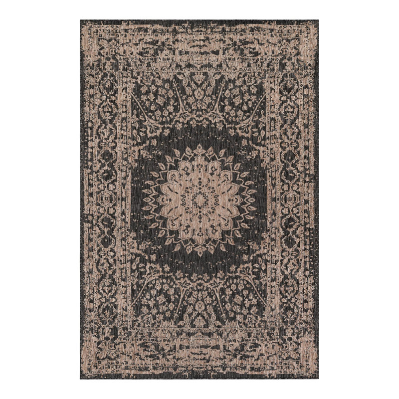 Ornate Lamotte Indoor/Outdoor Area Rug, Rectangle 5'3" x 8'