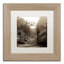 Alan Blaustein, «Hampton Gates III», reproduction de photo encadrée-21030968-21030971-69026805
