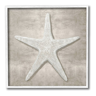 «Rustic Starfish», art de la giclée encadrée par Amber Sterling