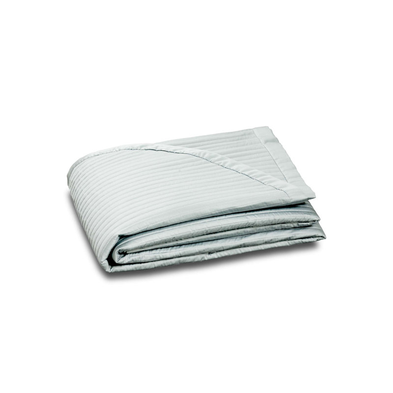 Puccini By DEA Coverlet, Twin Coverlet/Bedspread, Foggy Dew