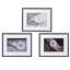 Art mural en corde de 30 po x 24 po dans un cadre noir, 3 pour espace de vie, chambre à coucher, bureau, entrée, blanc et noir, floraison en plastique avec pièce, espace de travail, vestibule, coïgne