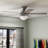 46" Anslee Standard Ceiling Fan with Pull Chain and Light Kit Included-17799239