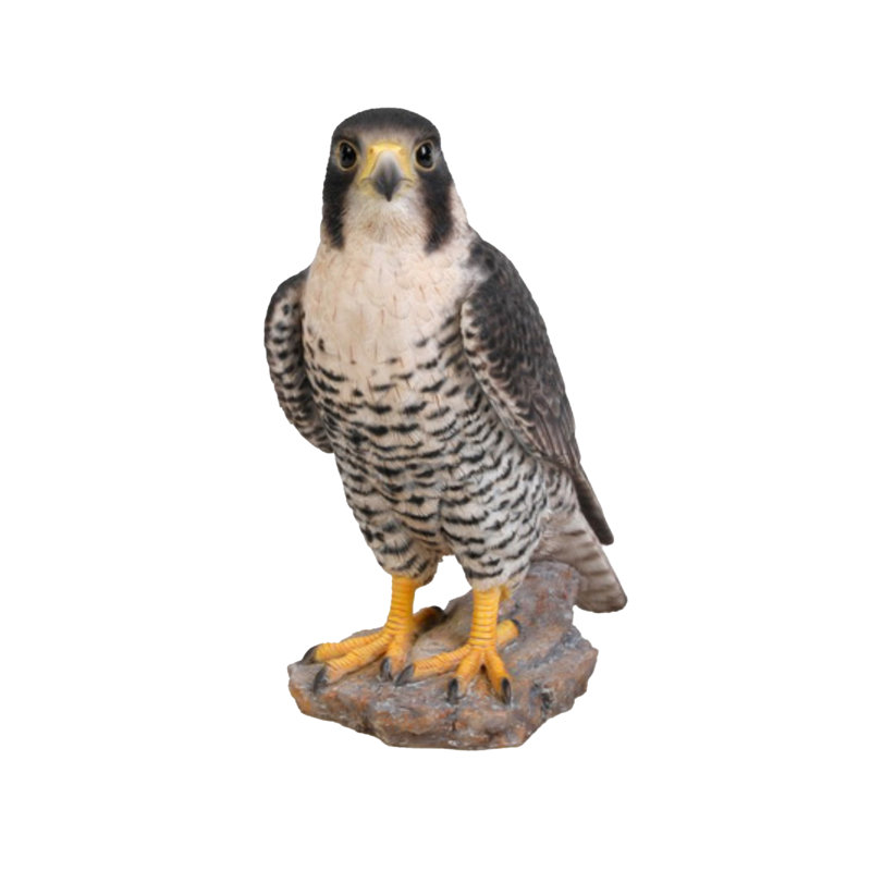Statue faucon pèlerin