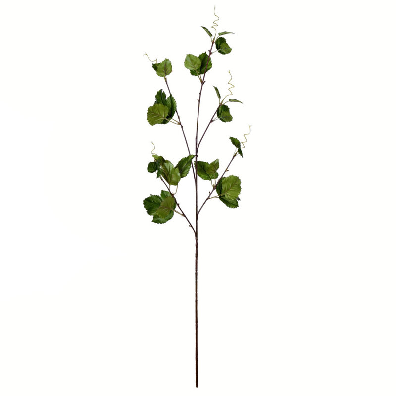 Hop Leaf Arrangement