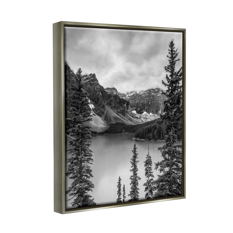 «Millwood Pines Woodland Pond», paysage encadré par Floater par Daniel Sproul, H 21 po x l 17 po x P 1,7 po