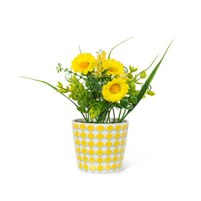 Marguerites jaunes en pot