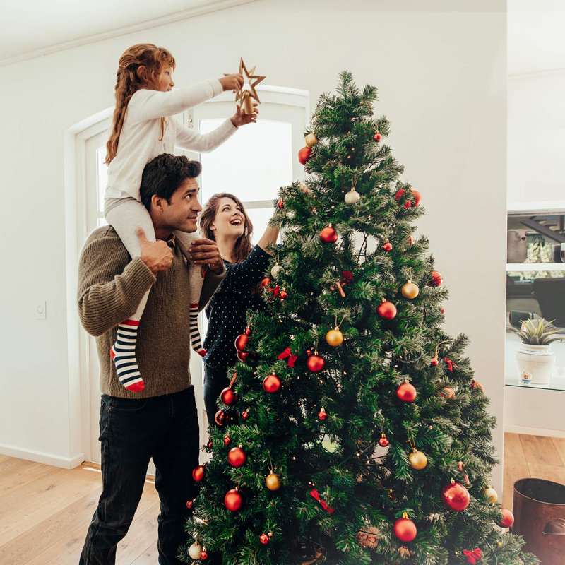 6' Lighted Artificial Christmas Tree with Lights, Eight Light Sequences, Clear/White Lights