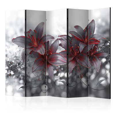 Shadow of Passion Room Divider