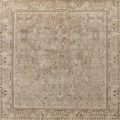 Itzel Oriental Indoor Rug