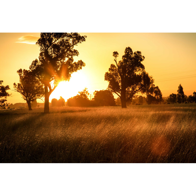 Outback Australie - photographie sur toile tendue, H 8 po x l 12 po