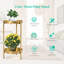 Support pour plante rond multiniveaux-375288389