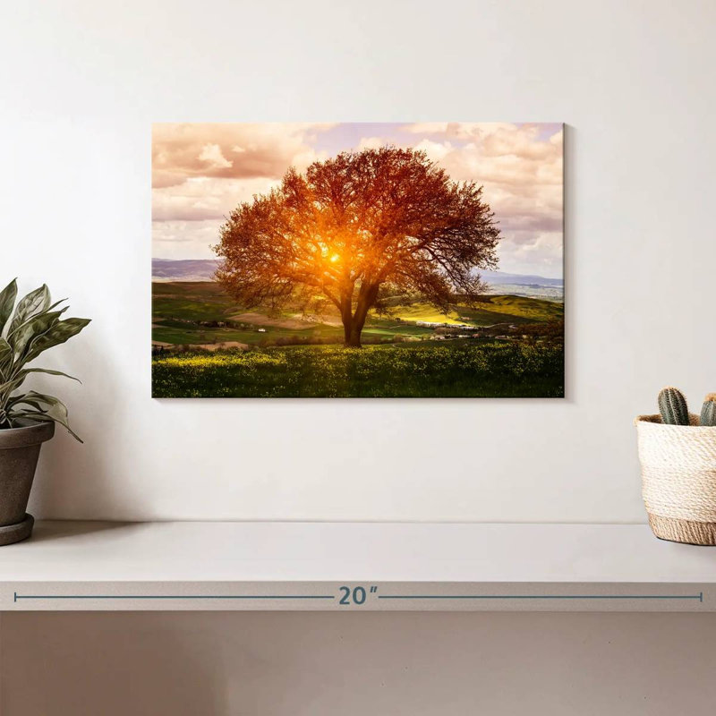 Arbre toscan Harnek, H 8 po x l 12 po