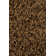 Tapis brun zone Arae