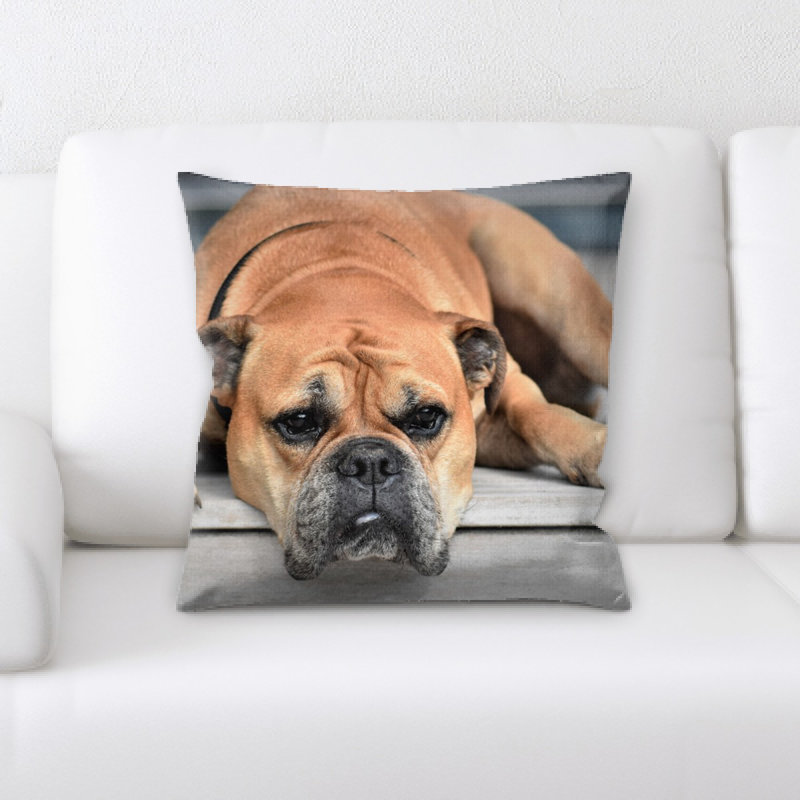Coussin pour chien