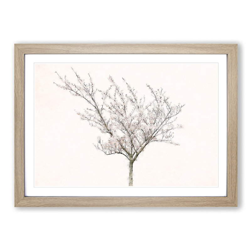 A Pink Cherry Blossom Tree - Picture Frame Painting Print, 45cm H x 63cm W x 2cm D, Oak