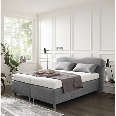 Boxspringbett Aileene