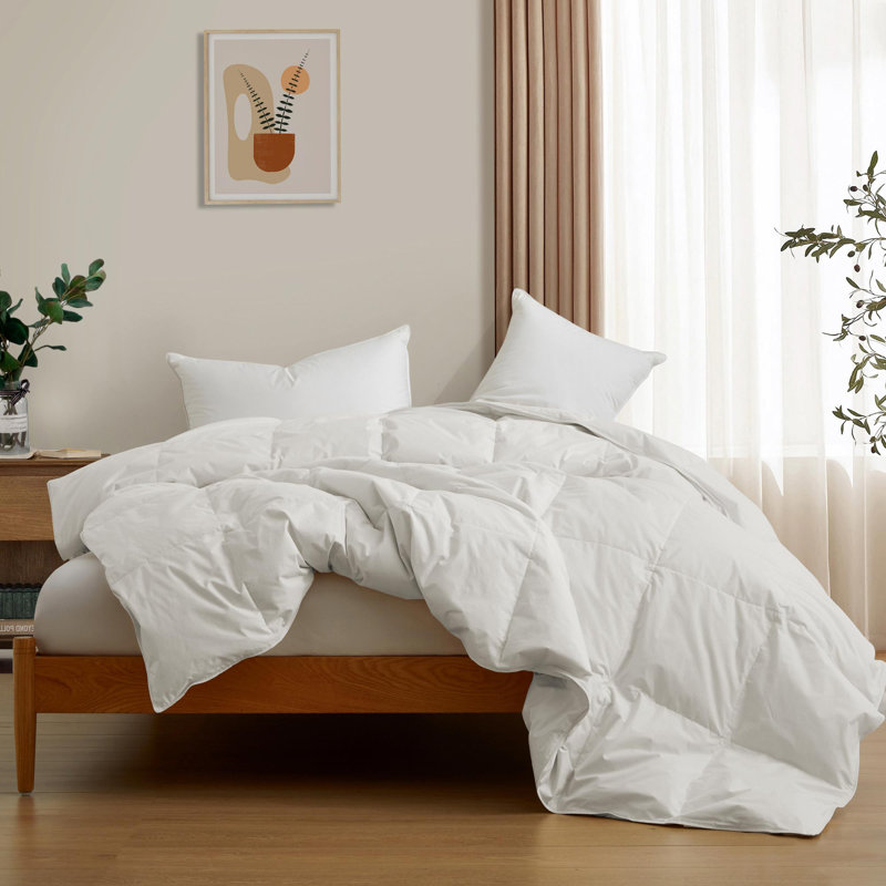 Fill Power All Season, Twin Down Comforter, White