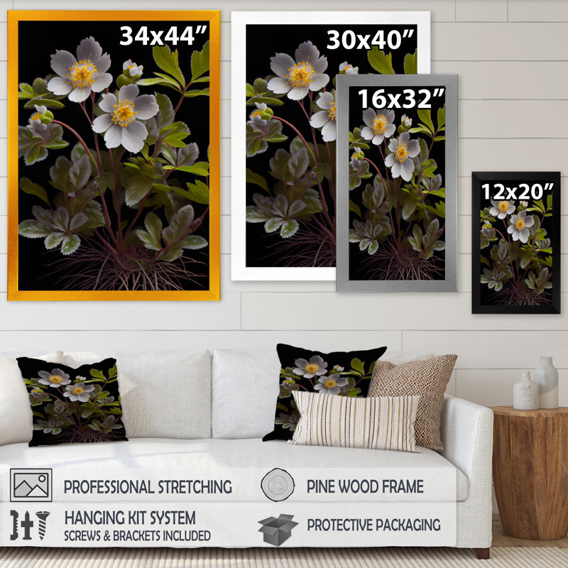 «Diphylleia Grayi On Black IV», art floral sur toile, Impression dorée sur toile encadrée, H 32 po x l 16 po x P 1 po
