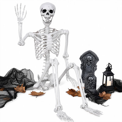 Halloween Skeleton Life Size 185cm Posable Joints Haunted House Patio White