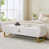 Ourson beige est en rupture de stock
