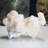 Brendell Stone Crystal Decorative Object