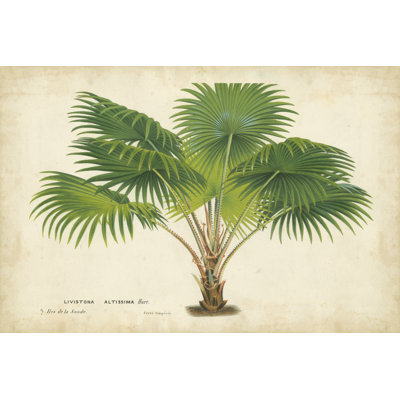 Palm of the Tropics V 1 Piece Wrapped Canvas Wall Art