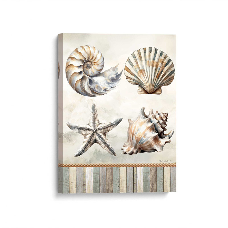 «Cape Cod Shores Seashells» par Nicole DeCamp, reproduction d'art, L 18 po x H 24 po, Ne s’applique pas, Toile non encadrée