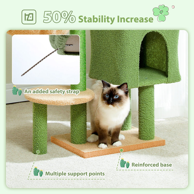 Multi-Level Cactus Cat Tree
