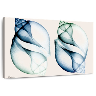 Split breeze ii Aletra