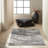 Rush Abstract Indoor Rug-59213892