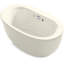 Sunstruck 60.56 in. L Freestanding Air Tub-40236930