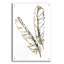 «Gilded Red Tailed Hawk Feather» par Chris Paschke-207341641