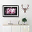 Beautiful Pink Carnation Petals - Single Picture Frame Print on MDF-56891505-56891495
